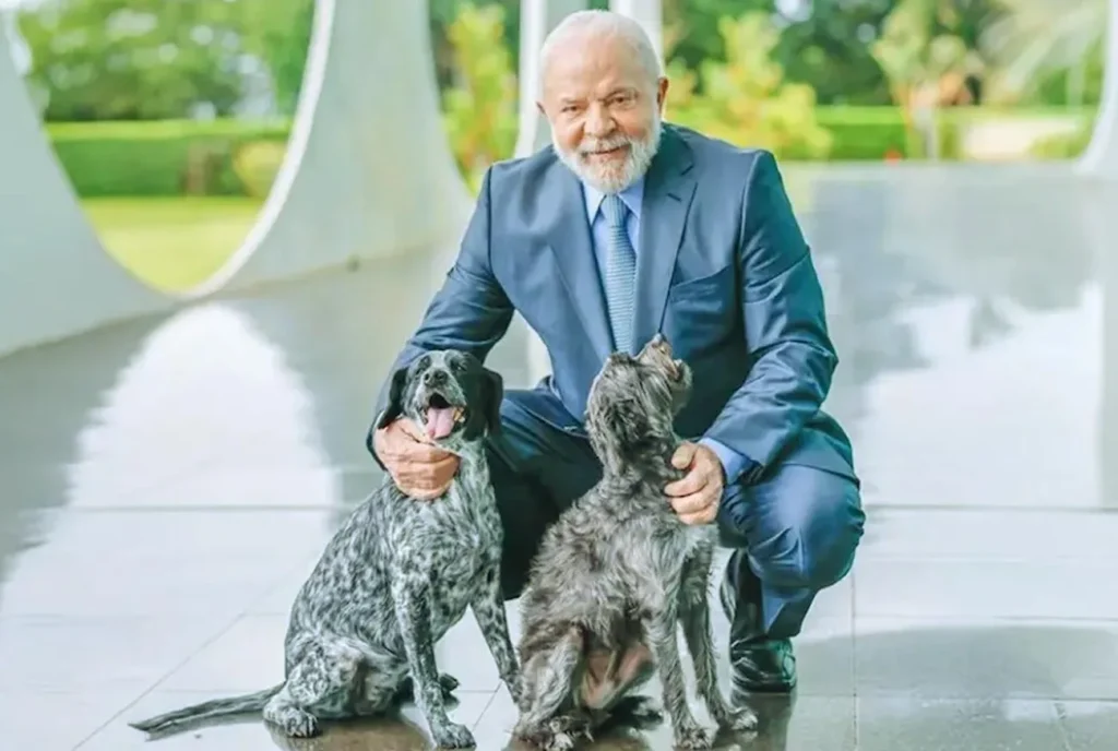 Lula sanciona lei que cria o Julho Dourado e reforça a proteção animal no Brasil